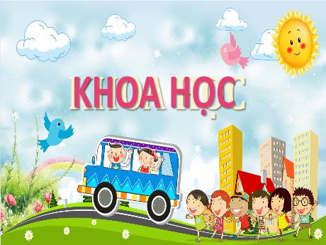 Bài giảng Khoa học 4 - Bài 10: Âm thanh và sự lan truyền âm thanh (Tiết 2) - Hà Thị Lê Na