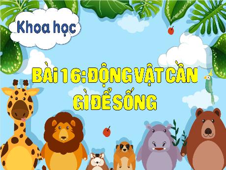 Bài giảng Khoa học 4 - Bài 16: Động vật cần gì để sống? (Tiết 1) - Hà Thị Lê Na