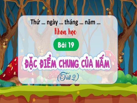 Bài giảng Khoa học 4 - Bài 19: Đặc điểm chung của nấm (Tiết 2) - Hà Thị Lê Na