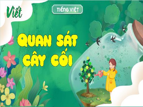 Bài giảng Tiếng Việt 4 - Bài: Quan sát cây cối (Tiết 3) - Hà Thị Lê Na